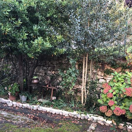 La Casa Verde B&B Trivero Екстер'єр фото