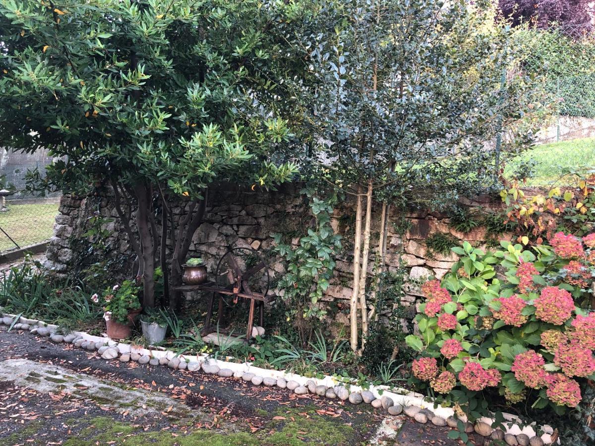 La Casa Verde B&B Trivero Екстер'єр фото